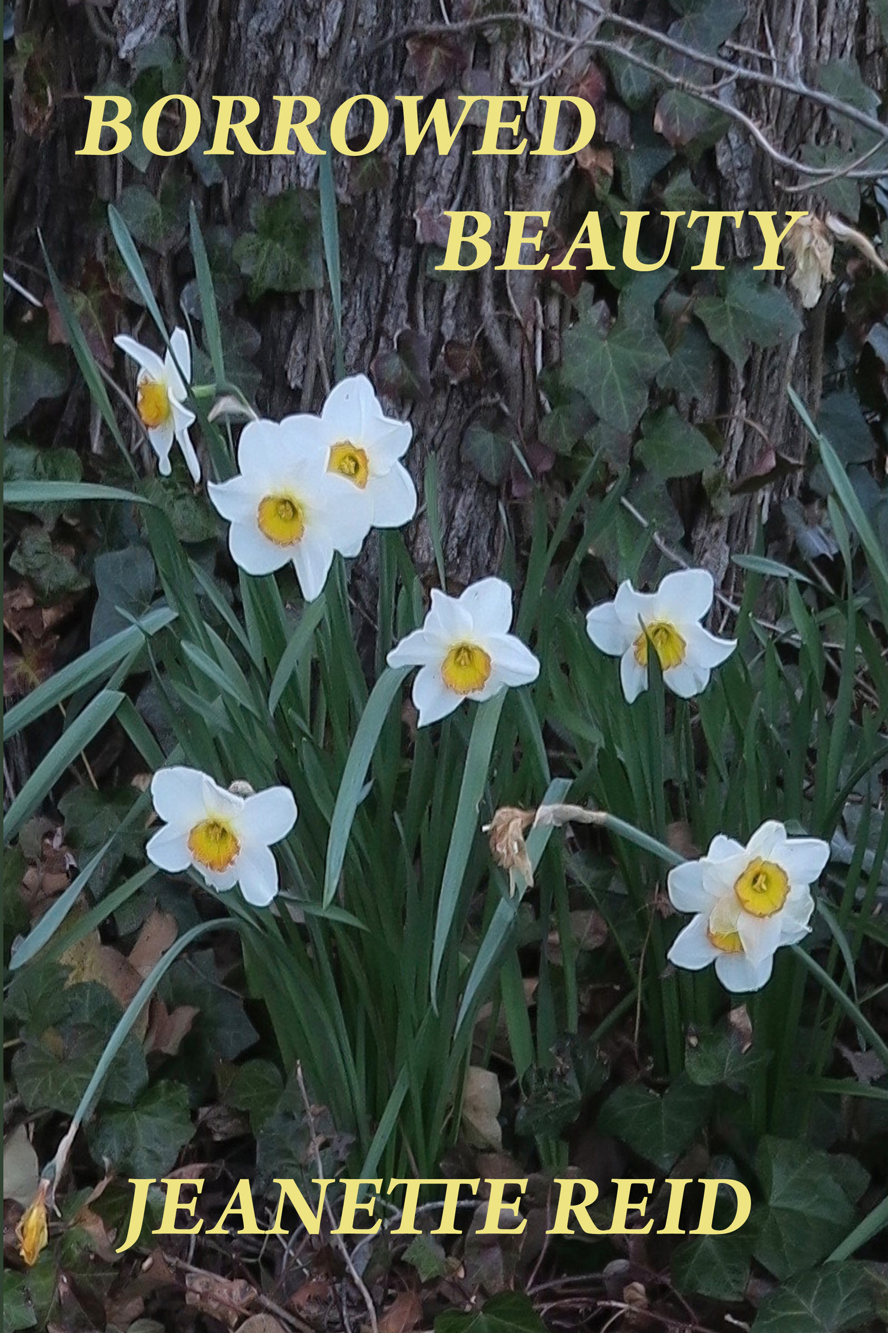 Borrowed Beauty